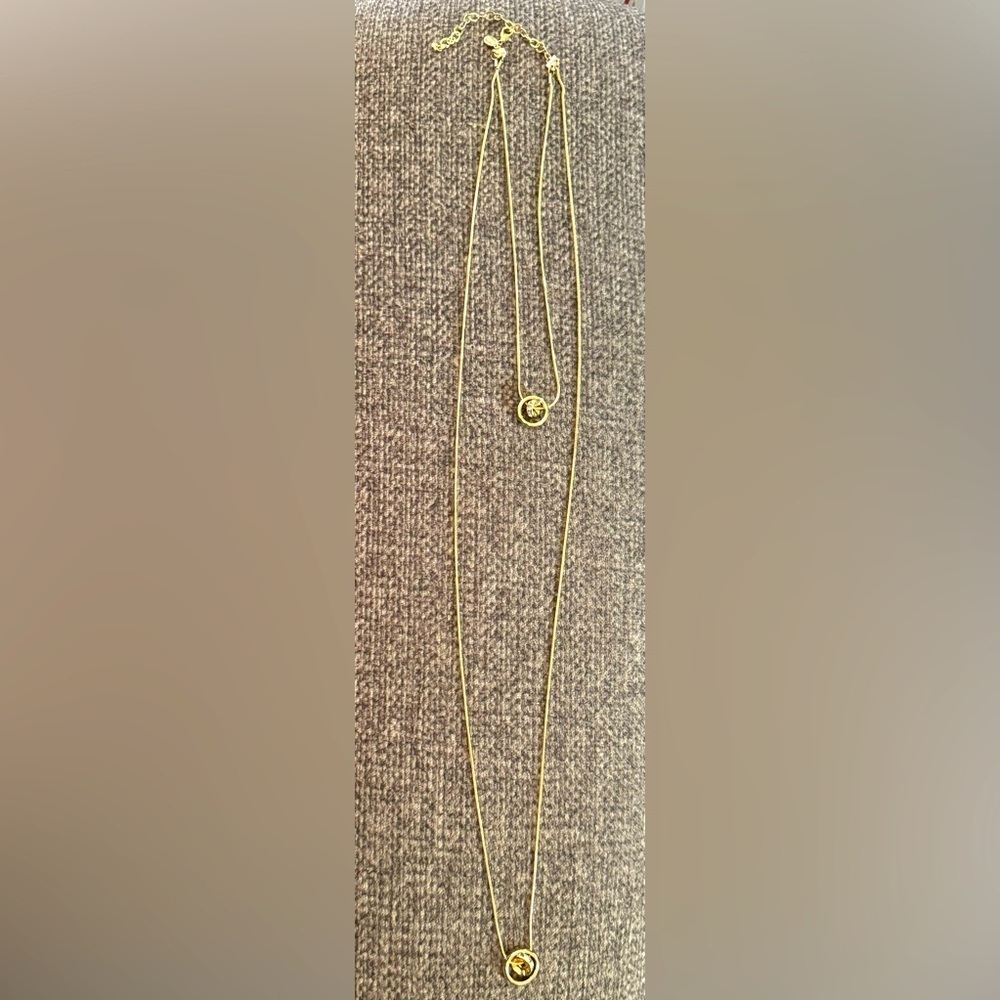 Express Long Double Rhinestone and Circle Goldtone Necklace.